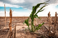 Mujeres rurales en extrema pobreza