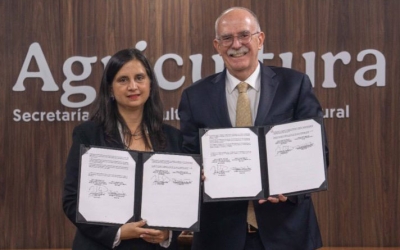 Avanzamos en cooperación, innovación y comercio justo